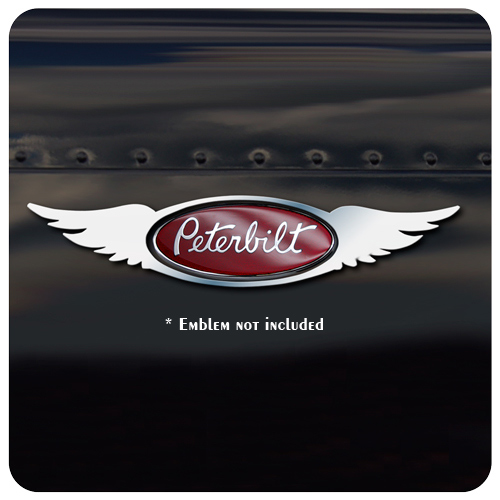 Stainless Steel Emblem Trim - Thumbnail 6