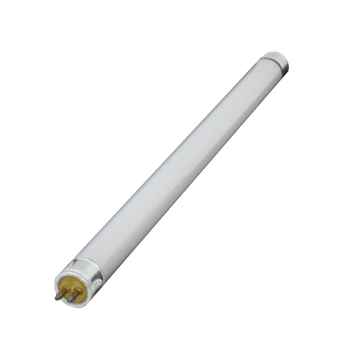 Fluorescent Light