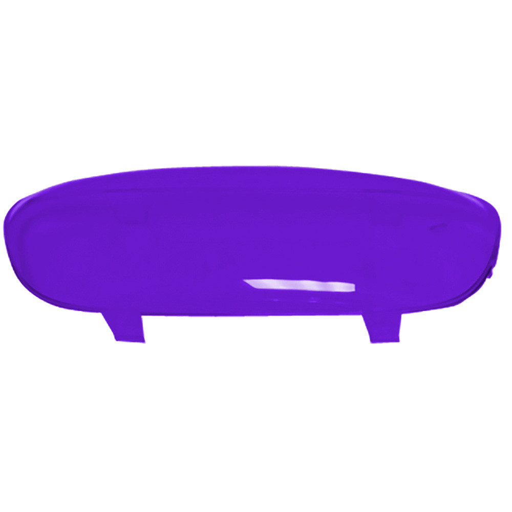 Center Dome Light Lens