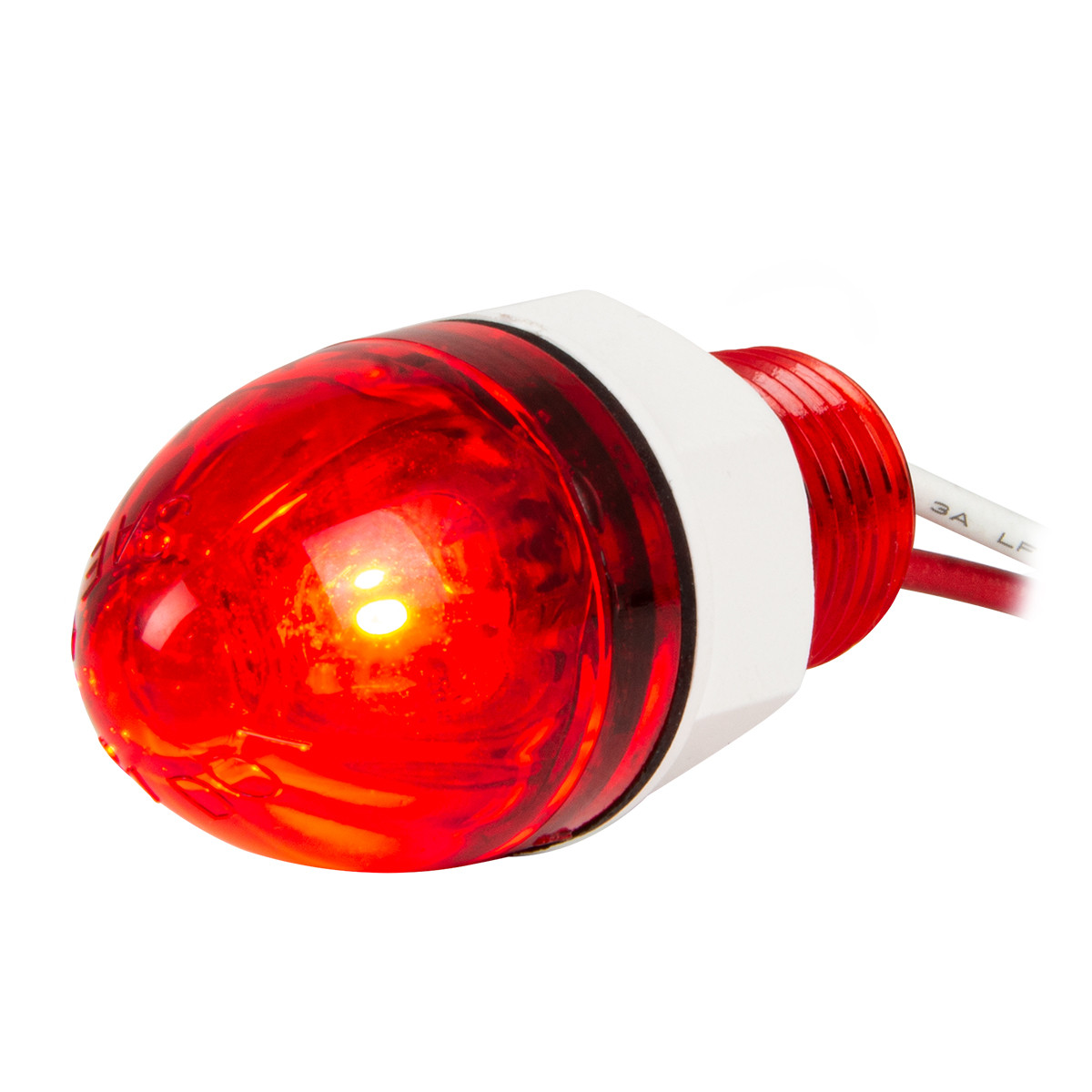 1" Mini Push/Screw Watermelon LED Light