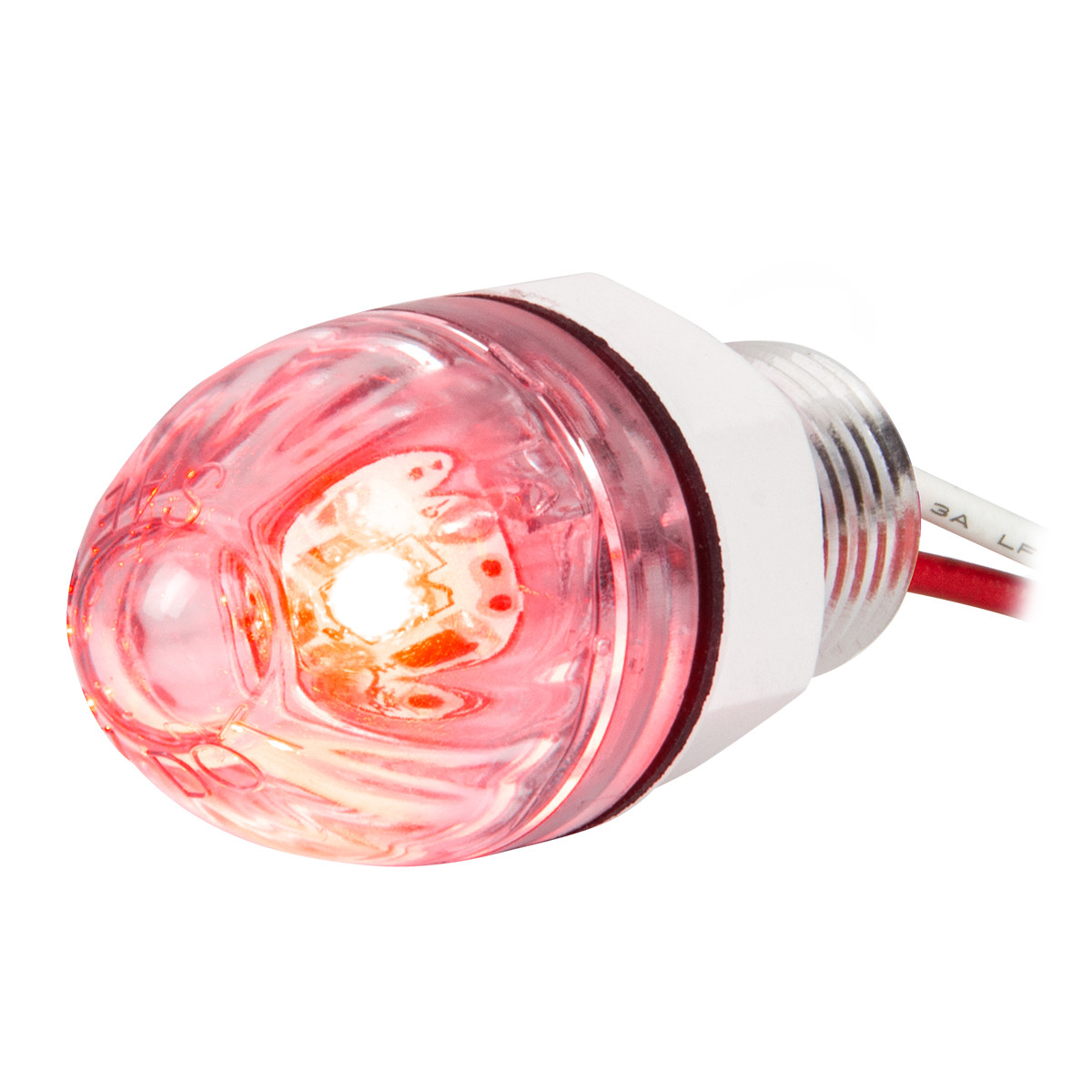 1" Mini Push/Screw Watermelon LED Light