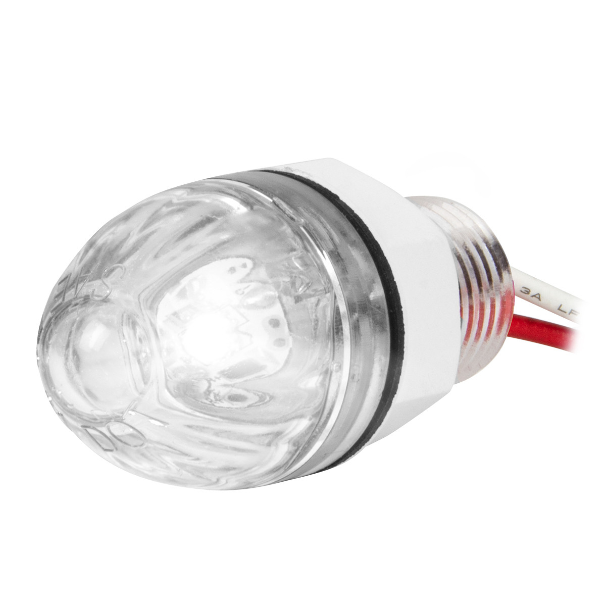 1" Mini Push/Screw Watermelon LED Light