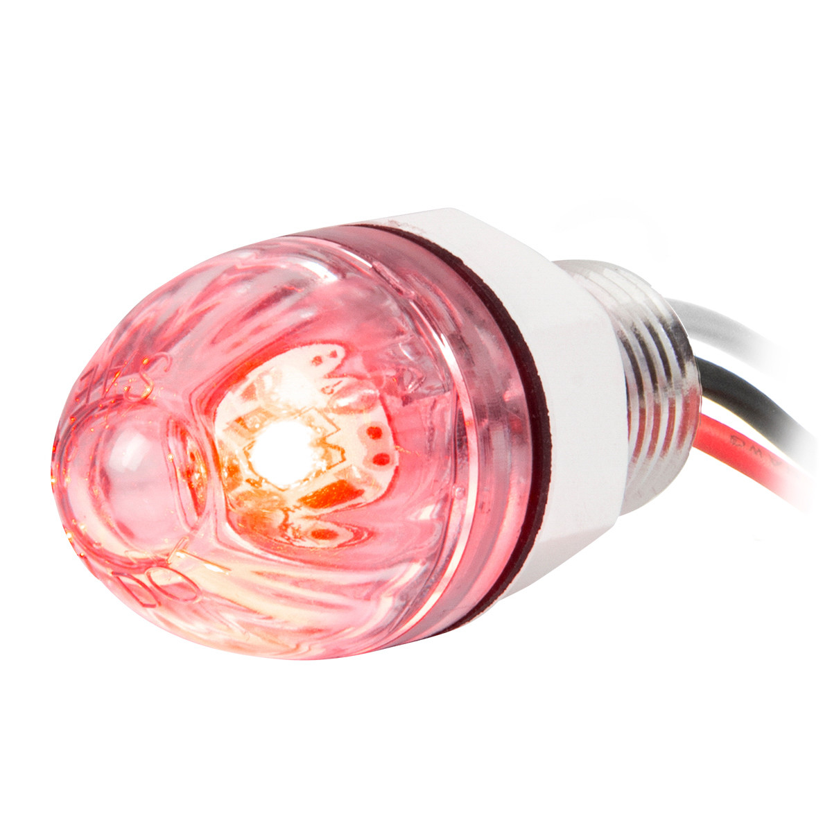 1" Mini Dual Function Push/Screw Watermelon LED Light