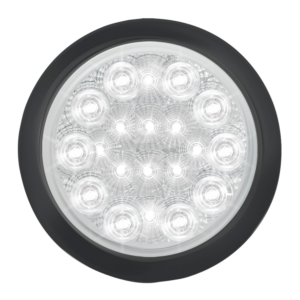 Spyder Series 4" LED Light