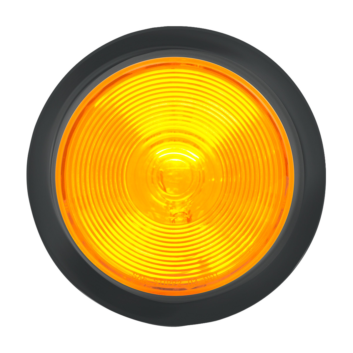 4" Light with Clear Back Housing