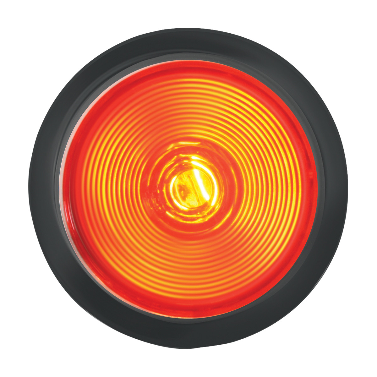 4" Light with Clear Back Housing