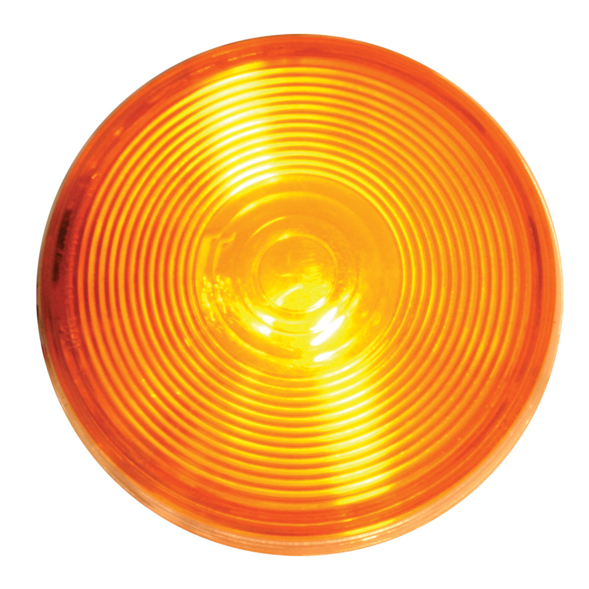 4" Light with Clear Back Housing