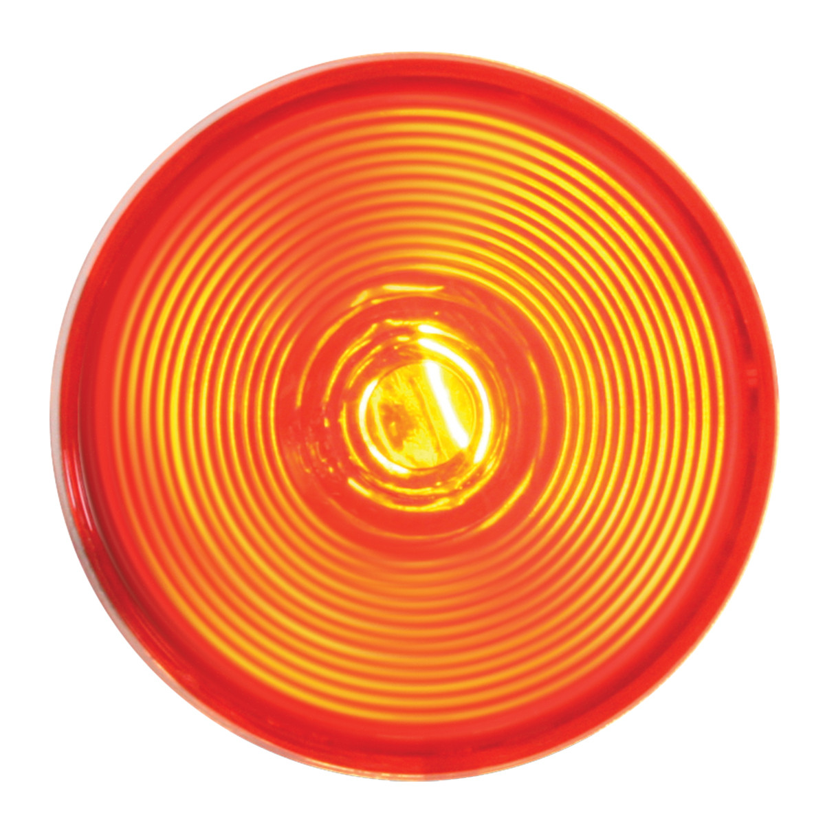 4" Light with Clear Back Housing