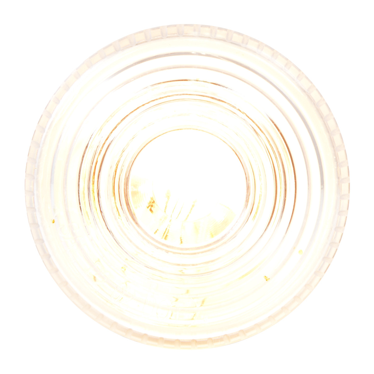 2" Sealed Light