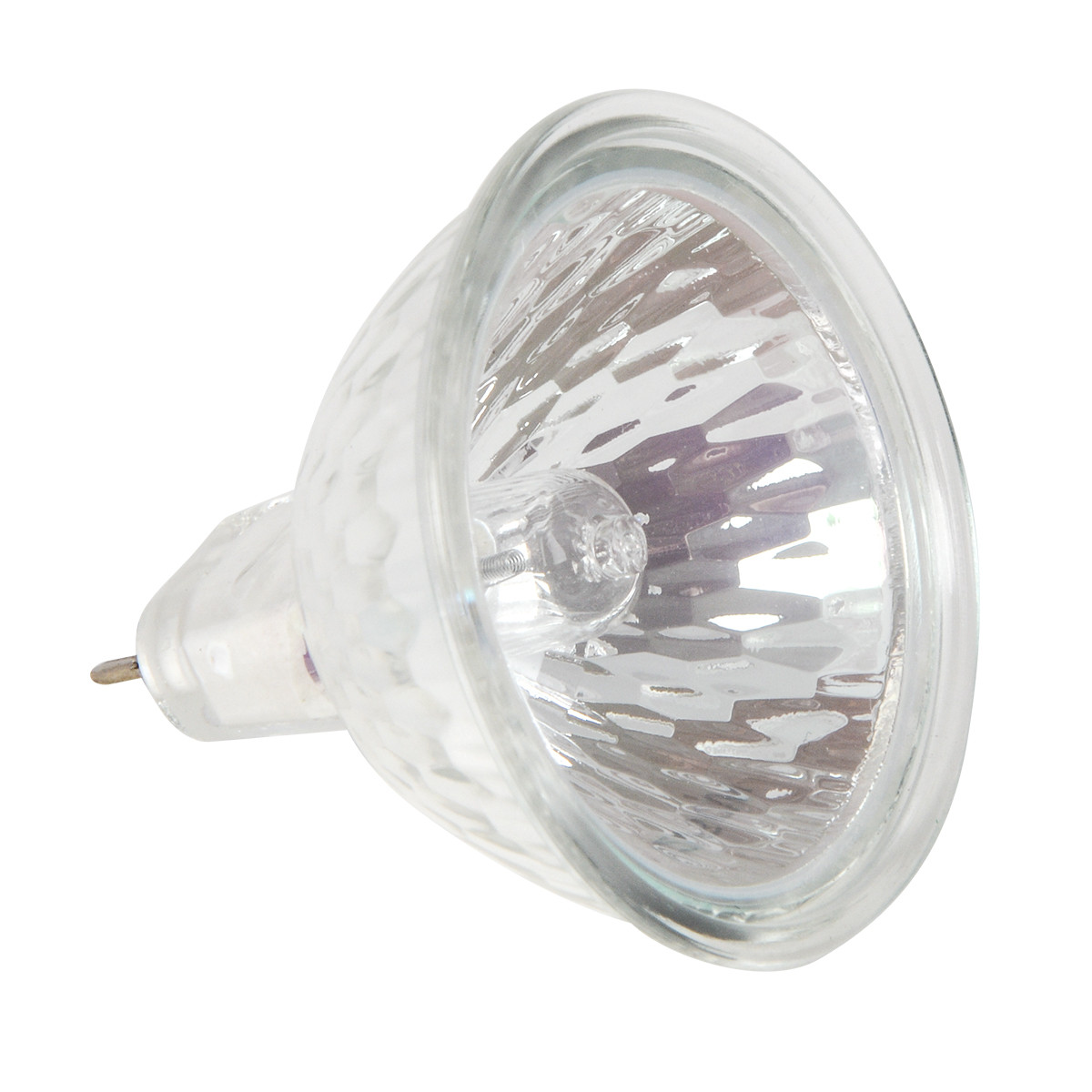 Color Halogen Bulb