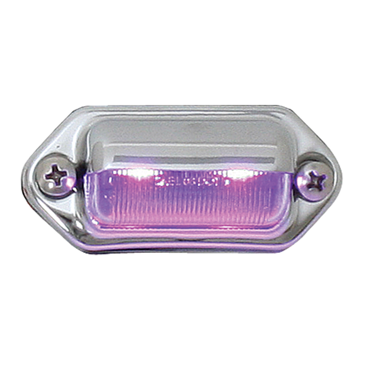 License/Interior LED Light