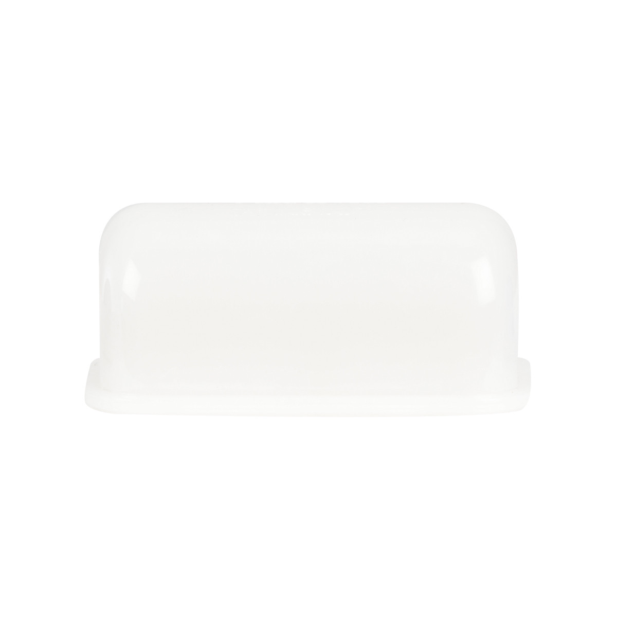 License Plate Light