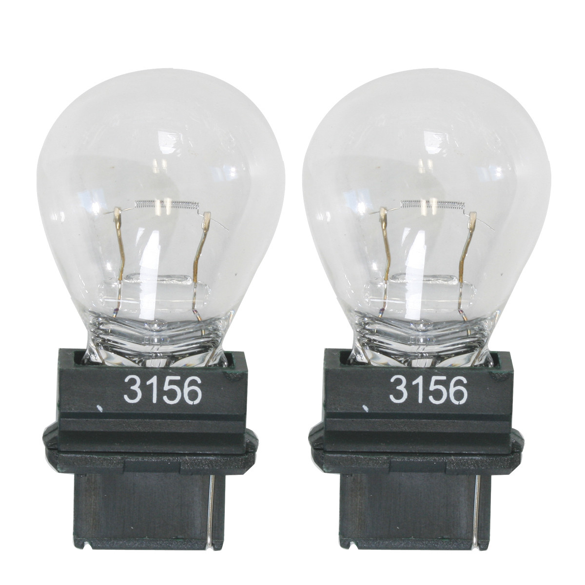 3156 Light Bulb