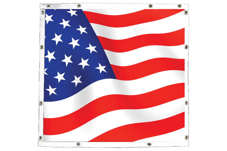 Abstract Flag Bug Screen - Main Image
