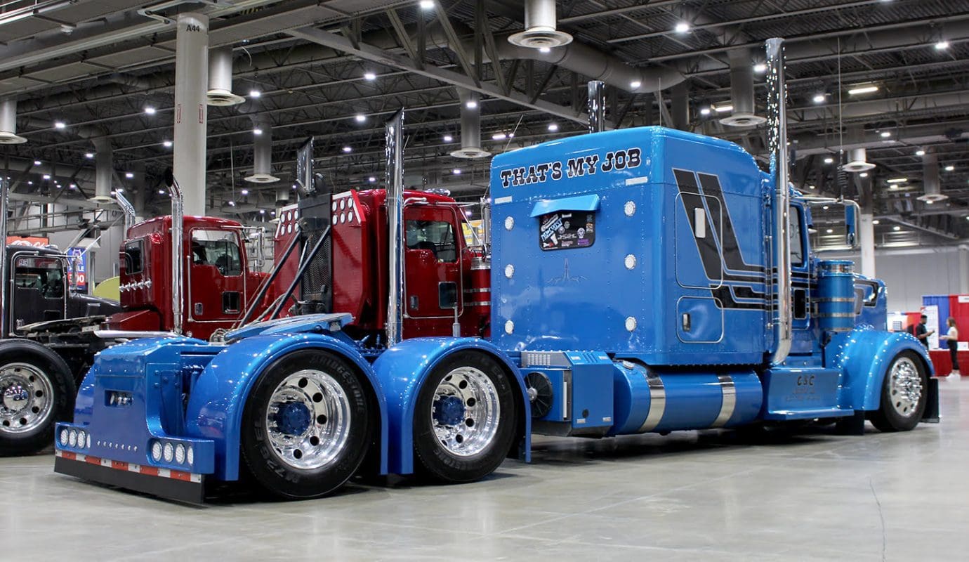 Classic Low Cut Single Humps - Thumbnail 6