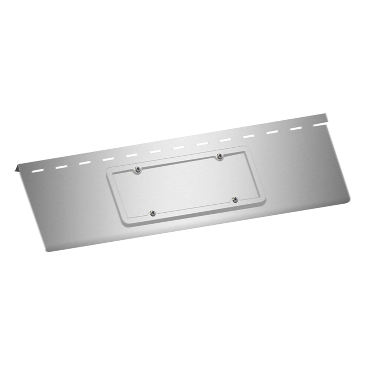 WS. License Plate (All Years) - 1 License Plate