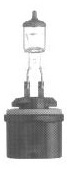 U-893 Clear Foglight Bulb