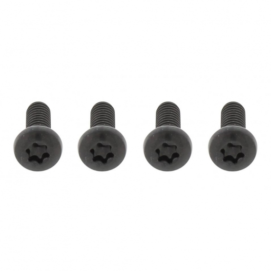 Freightliner Century Black Grille Screw Set