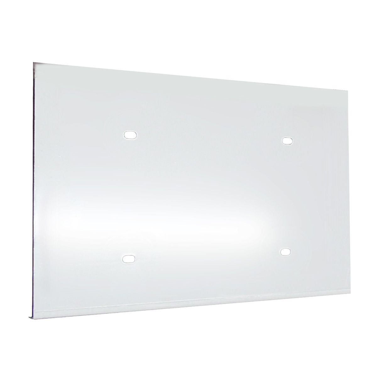 Stainless 1 License Plate Holder