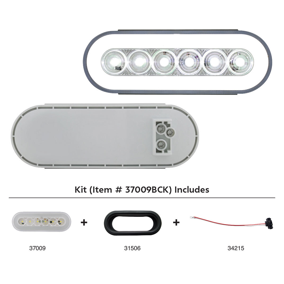 22 LED 6" Oval GloLight Kit (Back-Up) - Thumbnail 6