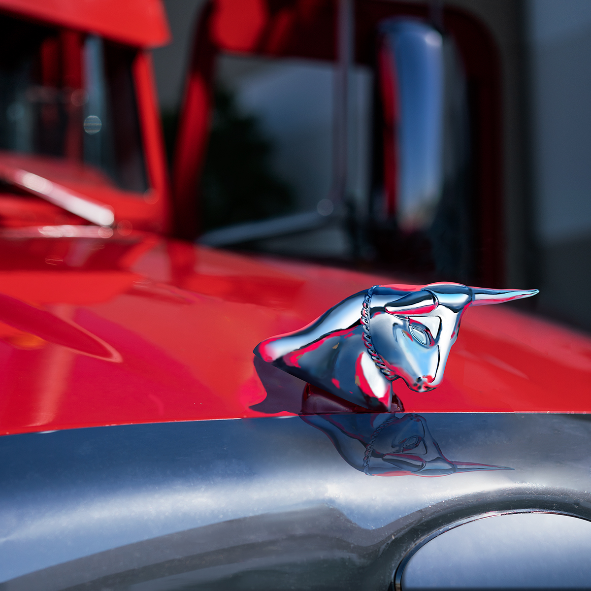 Die-Cast Long Horn Bull Hood Ornament - Chrome - Thumbnail 5