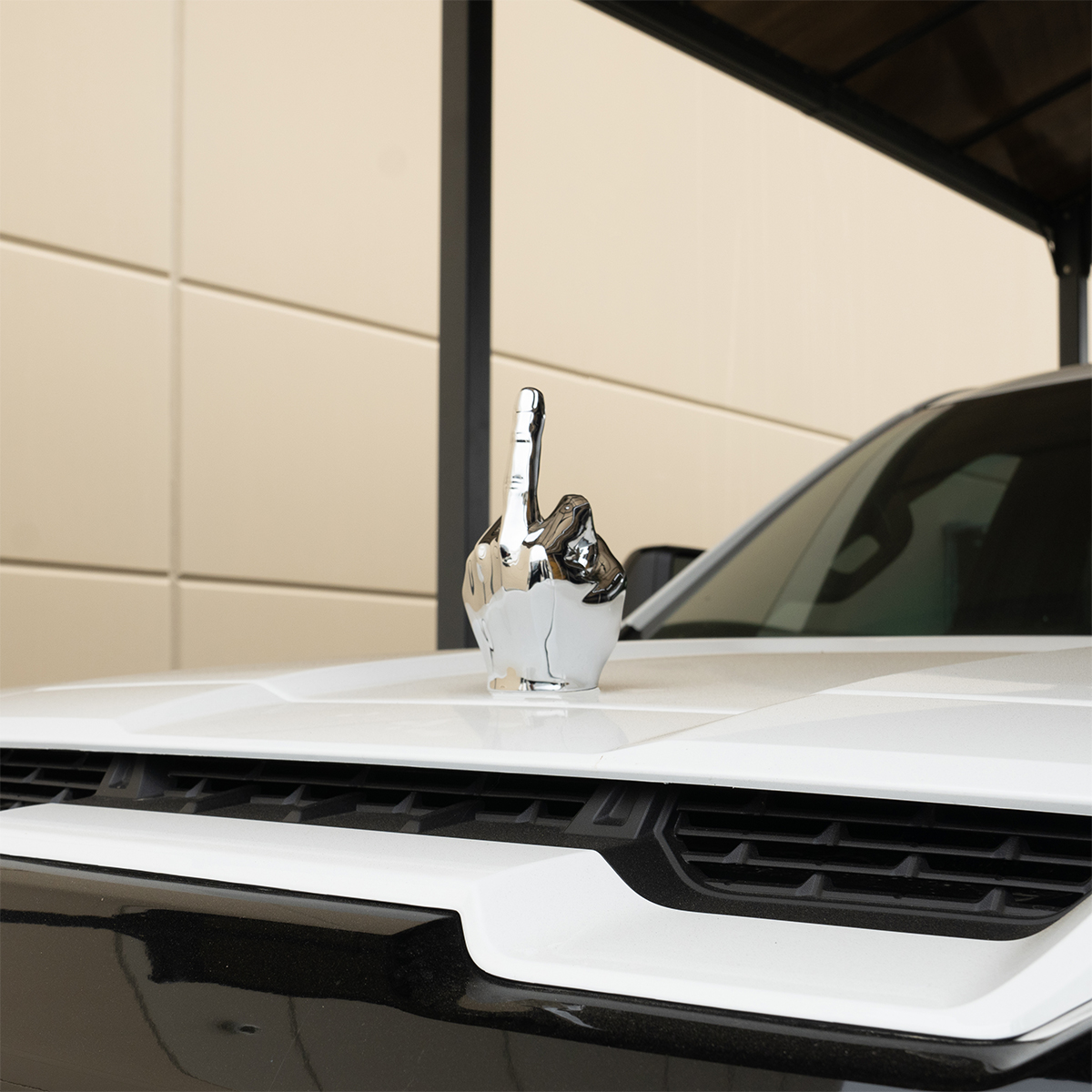 Finger Hood Ornament-Chrome - Thumbnail 10